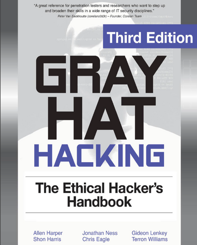 Gray Hat Hacking: The Ethical Hacker's Handbook - Script Kiddie